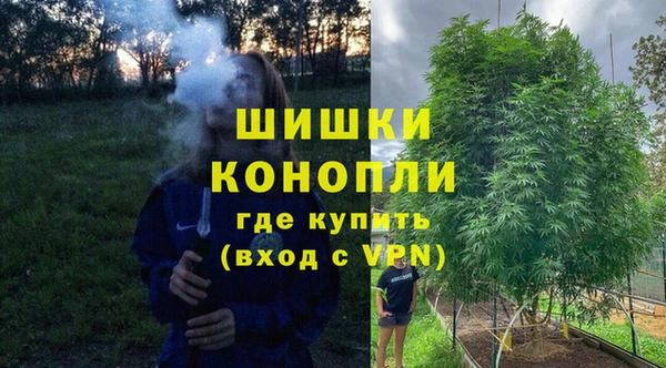 винт Нягань