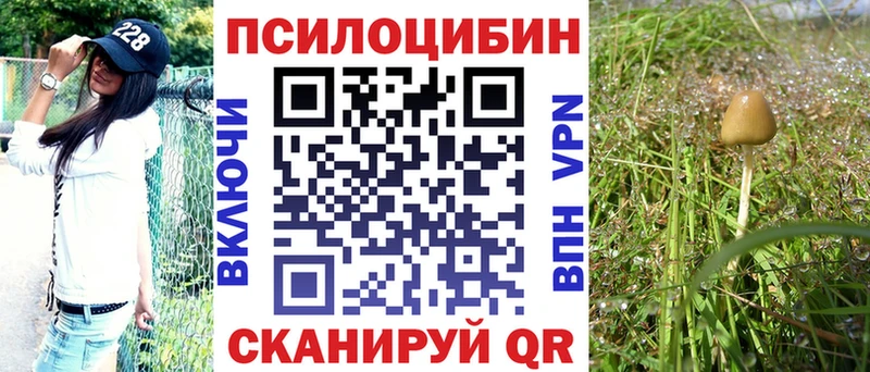 Галлюциногенные грибы GOLDEN TEACHER Покровск