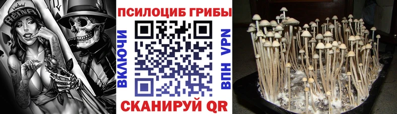 Галлюциногенные грибы MAGIC MUSHROOMS  hydra ONION  это Telegram  Покровск 